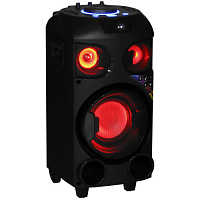 Портативная аудиосистема Aceline LP-V100